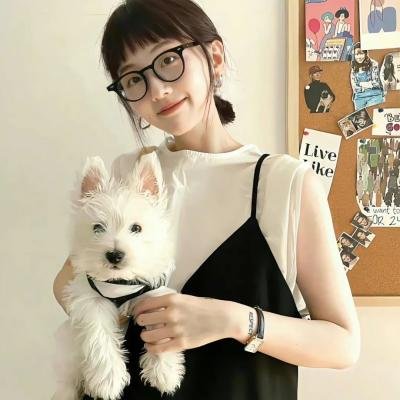 梅与小猫巴士